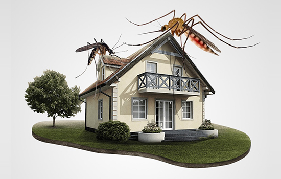 portfolio woocommerce