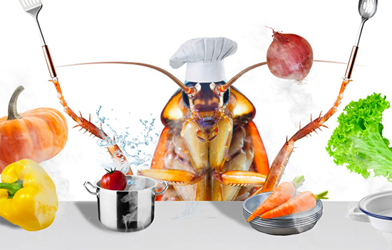 portfolio woocommerce